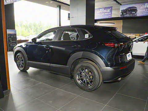 2025�� 2.0L �ֶ�������