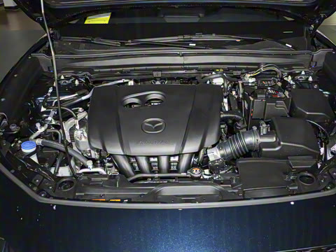 2025�� 2.0L �ֶ�������