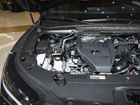 2026�� 500h ����F SPORT Performance