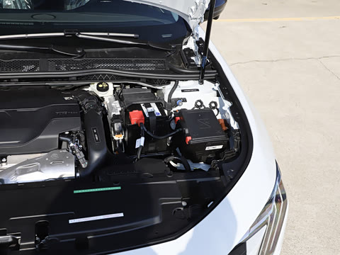 2025�� �Ŀ� 508L 400THP Ԧ���콢��