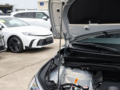 2026�� 2.5L ˫����������