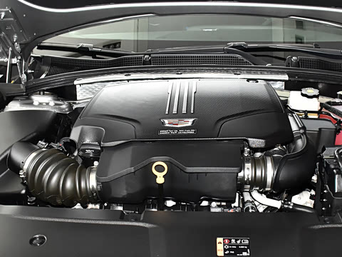 2023�� 25T ������