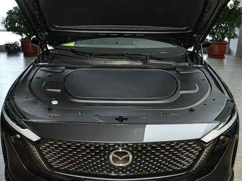 2026�� ����200 Pro�˶���