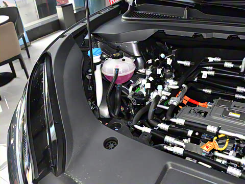 2025�� 450�ǻݳ��а�