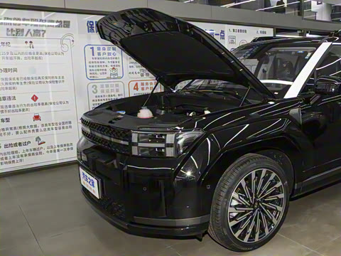 2024�� 2.0T ���ͼ�Pro