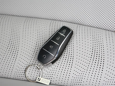 2026�� DM-i 210KM������