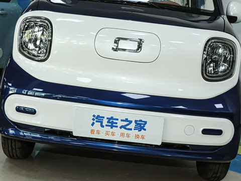 2026�� 222km ������