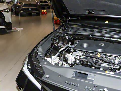 2024�� 2.0L ��ȡ��