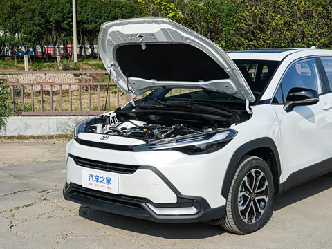 2026�� 2.0L ���ܵ��˫�� ������