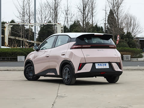 2025�� �Ǽݰ� 305km ������