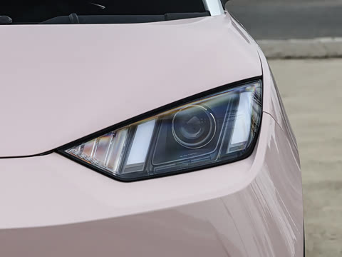 2025�� �Ǽݰ� 305km ������