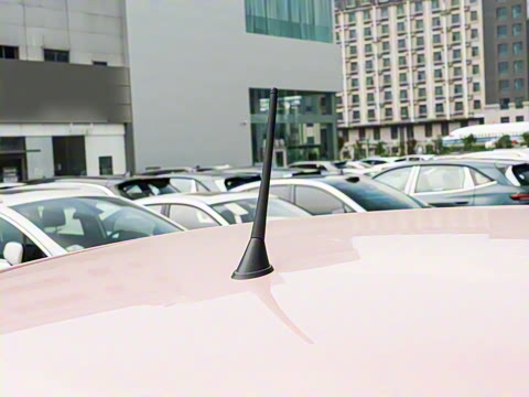 2026�� 222km �Ų���