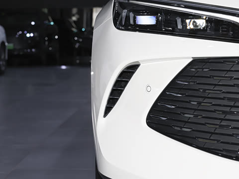 2026�� DM-i 210KM��Խ��