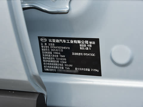 2026�� DM-i 220KM��Խ��