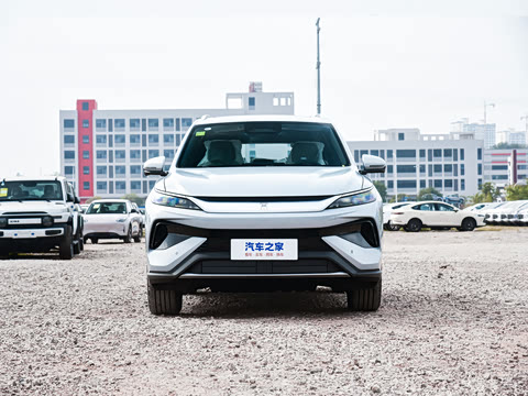 2026�� DM-i 220KM��Խ��