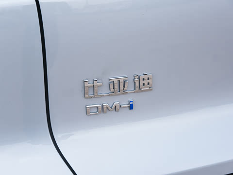 2026�� DM-i 220KM��Խ��