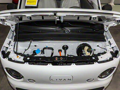 2025�� ������