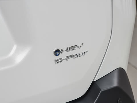 2026�� ˫�� 2.5L �����콢��