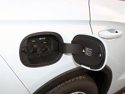 2026�� DM-i 133KM��Խ��