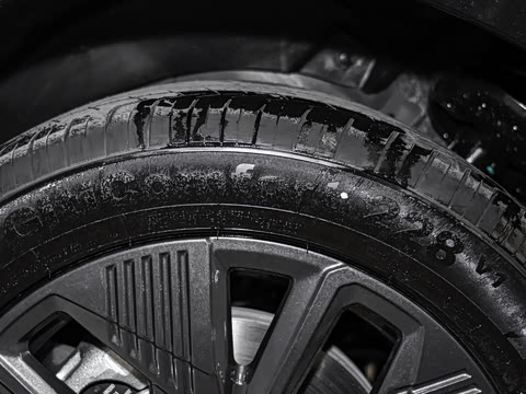 2025�� �Ŀ� �콢��