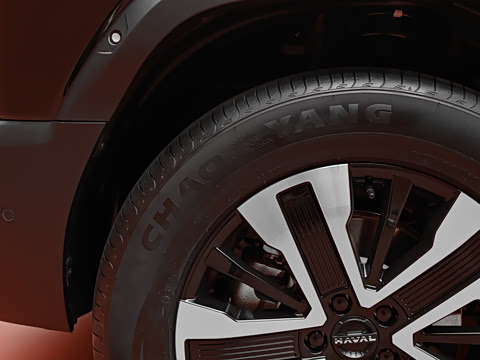 2026�� 255km ������