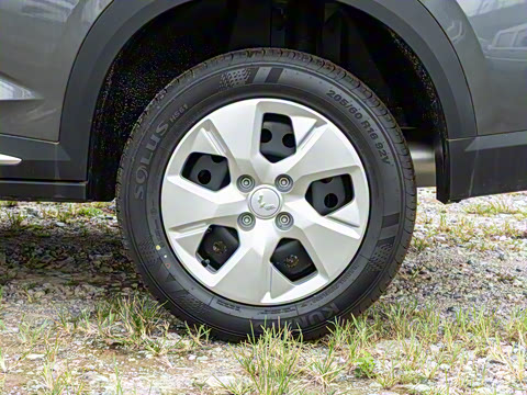 2026�� 1.5L �ֶ�������