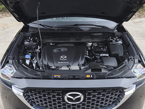 2025�� 2.0L �Զ�����������