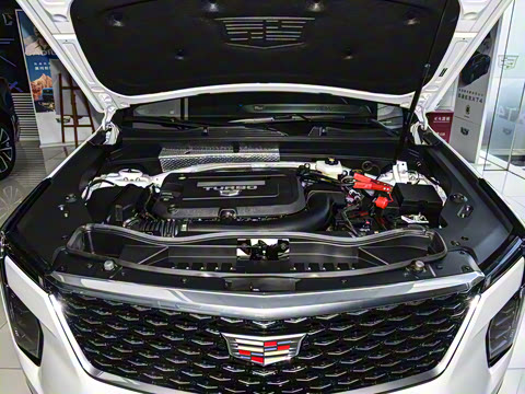 2024�� �Ŀ� 28T ���������