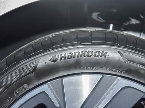 2026�� 300TSI DSG���а�