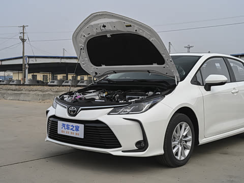 2026�� 1.2T ��Ӣ��