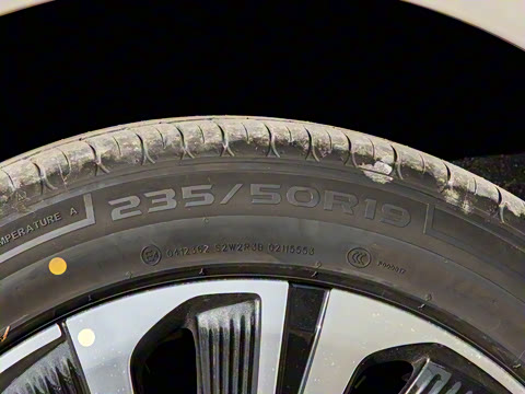 2025�� ������