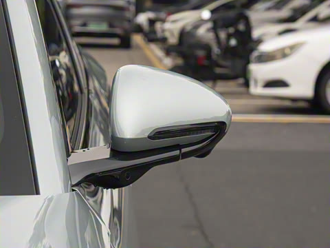 2025�� DM-i 150KM������