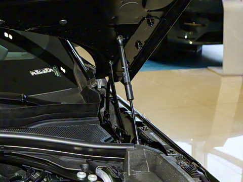 2026�� 250PS Dynamic SE