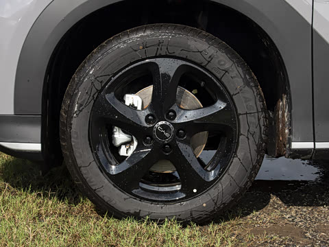 2026�� DM-i 220������