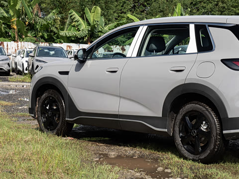 2026�� DM-i 220������