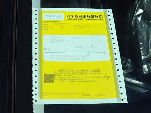 2024�� 530km PRO��Ӣ��