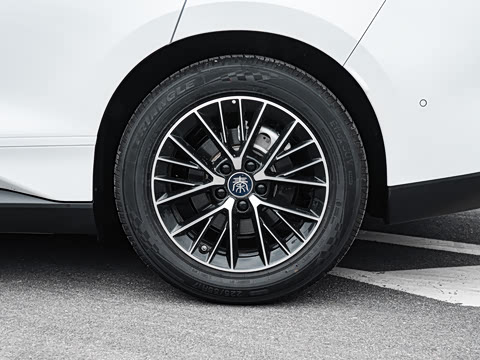 2026�� DM-i 320KM��Խ��