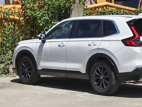 2026�� ȫ��30����ҫ�� 1.5T ��������5����