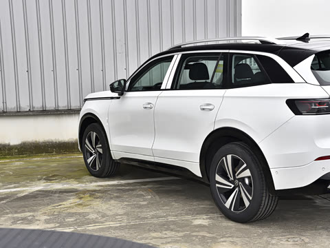 2026�� 380TSI ����R-LineѲ�� ������