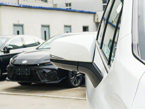 2026�� 2.5L ˫������������