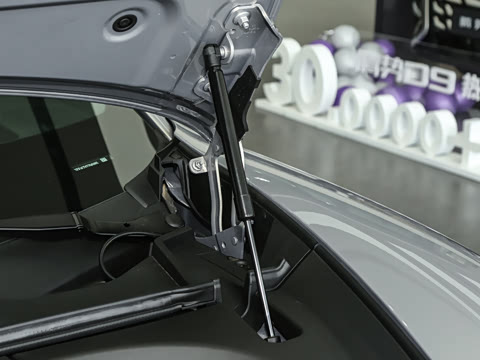 2026�� ����������������