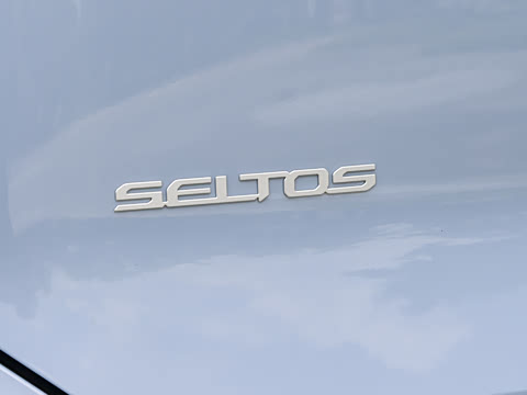 2027�� 1.5L ������