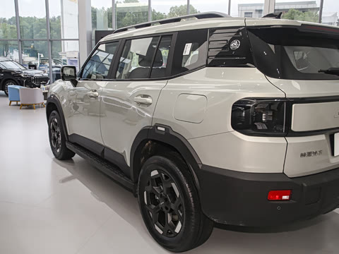 2025�� 2.0TD XWD��Խ