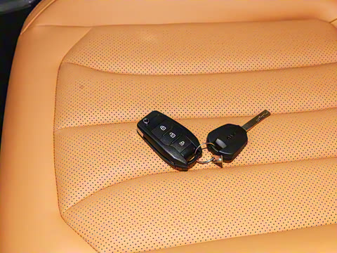 2026�� 2.0L �ֶ���������� 7��