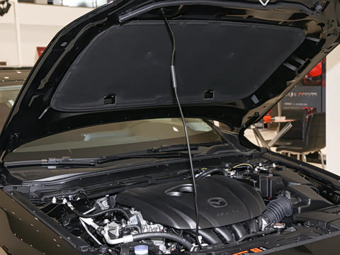 2025�� 2.0L �Զ������