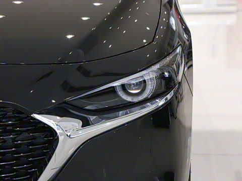 2025�� 2.0L �Զ������