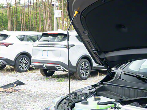 2026�� Ӱ�� 270T ��ȡ��