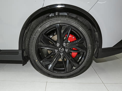 2025�� ����600�����˶���