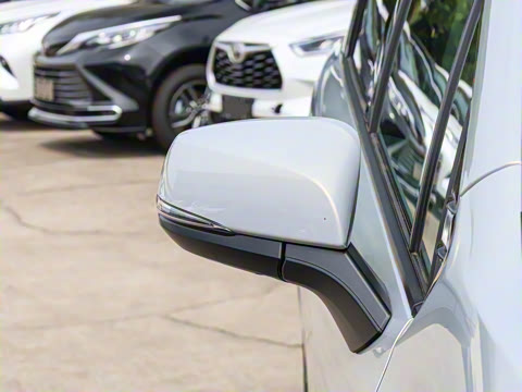 2026�� 2.5L ˫���������ʰ�