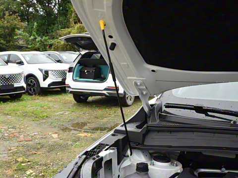 2026�� ���Ĵ� ������ 1.5T ���������